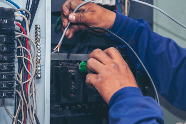 Best Local Electrician Companies  in Nokomis, FL